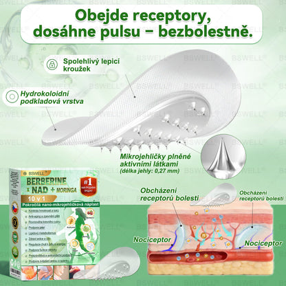 🍀🍀BSWELL® Nano mikrovpichová zeštíhlující náplast✨(Stačí použít pouze jednou denně – viditelné změny již za 28 dní) ✅Bezbolestná, dlouhotrvající, zaměřená na řešení cukrovky, obezity a kardiovaskulárních onemocnění