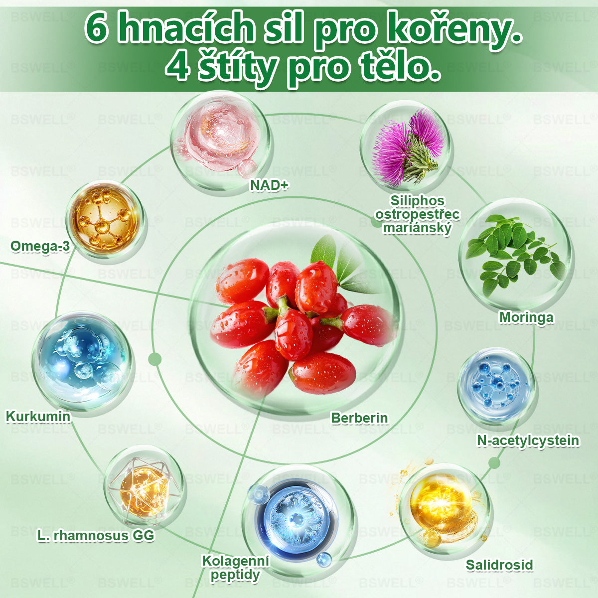 🍀🍀BSWELL® Nano mikrovpichová zeštíhlující náplast✨(Stačí použít pouze jednou denně – viditelné změny již za 28 dní) ✅Bezbolestná, dlouhotrvající, zaměřená na řešení cukrovky, obezity a kardiovaskulárních onemocnění